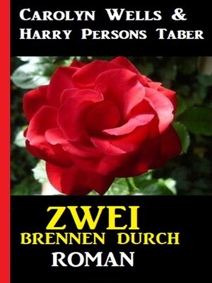 cover image of Zwei brennen durch